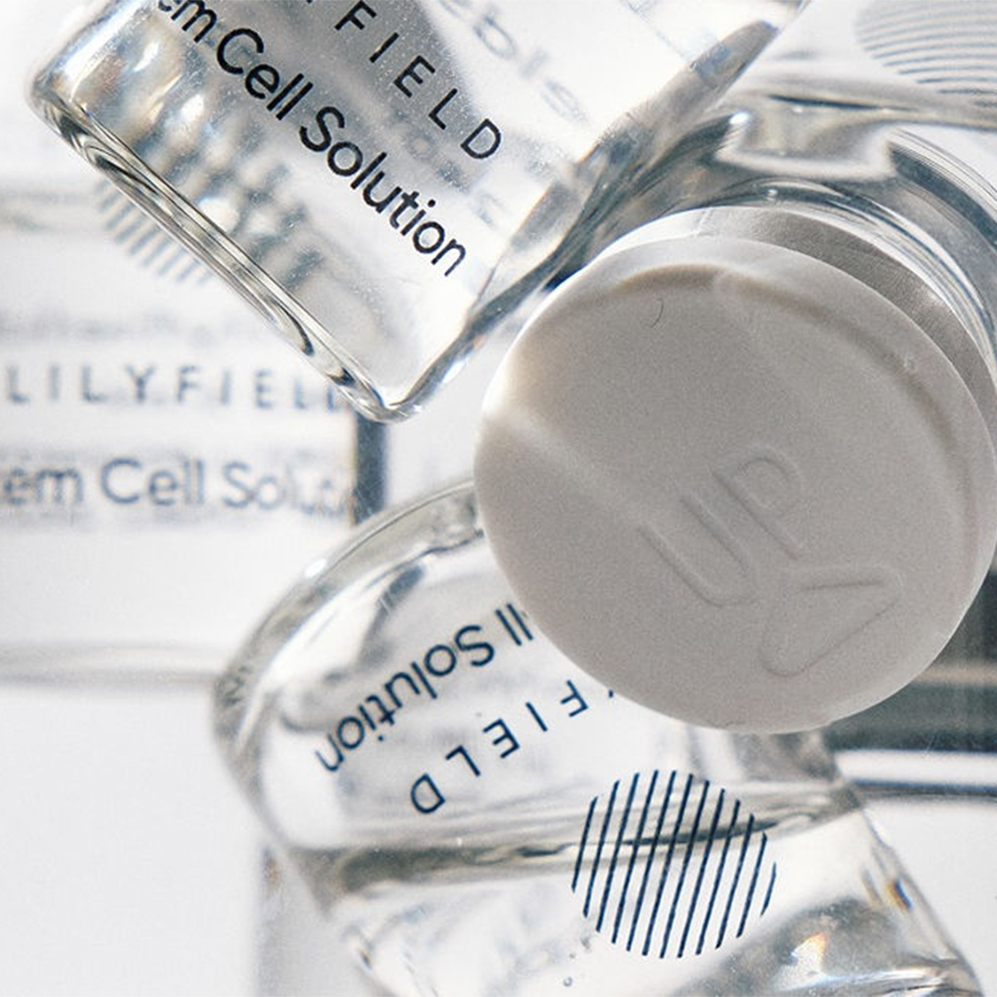 LILYFIELD Stem Cell Solution - Image 2
